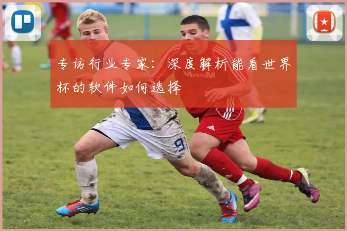 专访行业专家:深度解析能看世界杯的软件如何选择