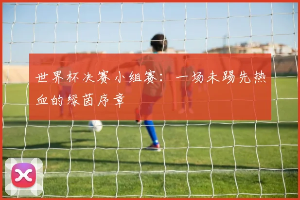 世界杯决赛小组赛：一场未踢先热血的绿茵序章
