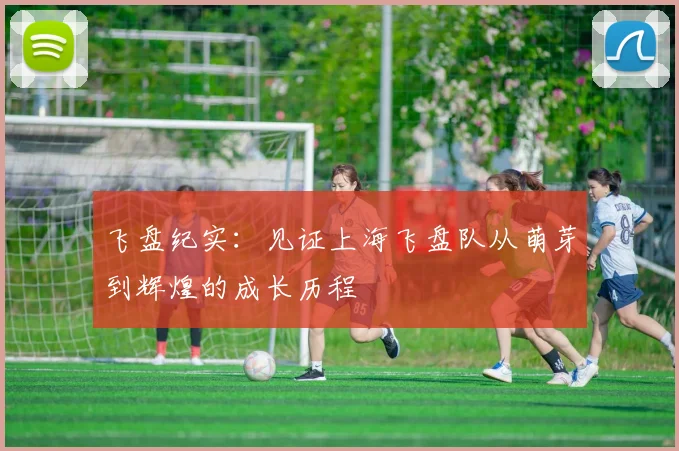飞盘纪实：见证上海飞盘队从萌芽到辉煌的成长历程