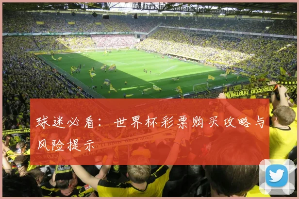 球迷必看:世界杯彩票购买攻略与风险提示