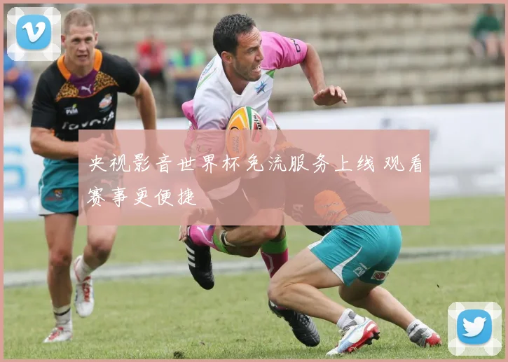 央视影音世界杯免流服务上线 观看赛事更便捷