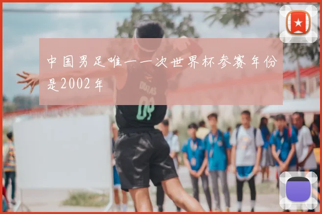 中国男足唯一一次世界杯参赛年份是2002年