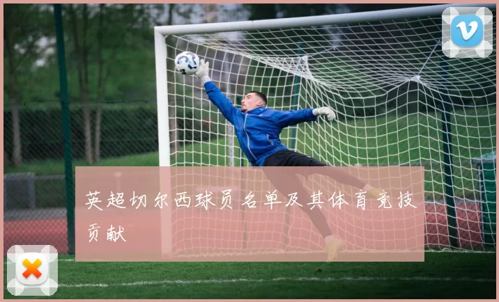 英超切尔西球员名单及其体育竞技贡献