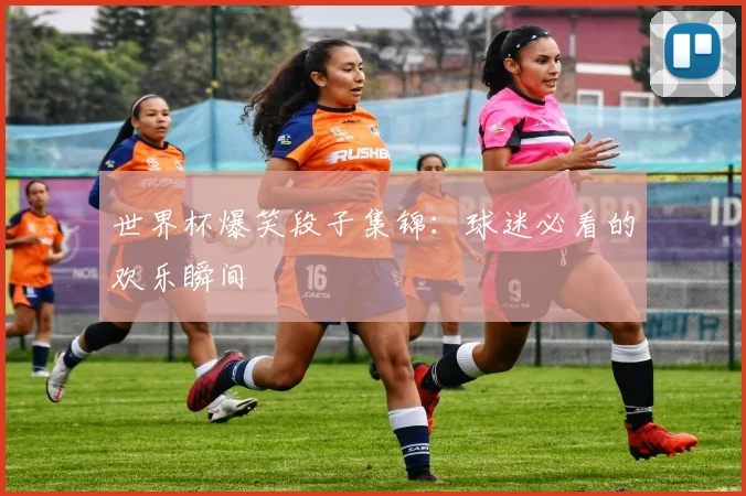 世界杯爆笑段子集锦：球迷必看的欢乐瞬间