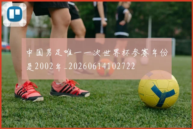 中国男足唯一一次世界杯参赛年份是2002年_20260614102722