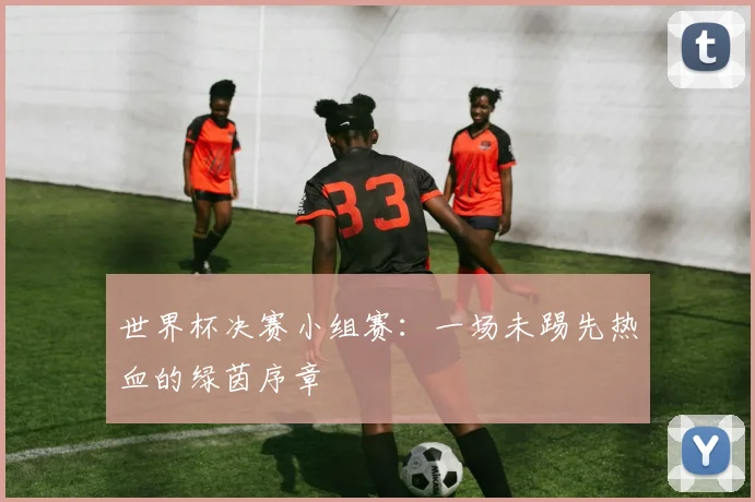 世界杯决赛小组赛：一场未踢先热血的绿茵序章