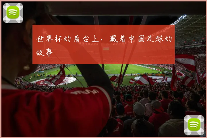 世界杯的看台上，藏着中国足球的故事